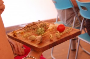 skill share photos seed saving 008